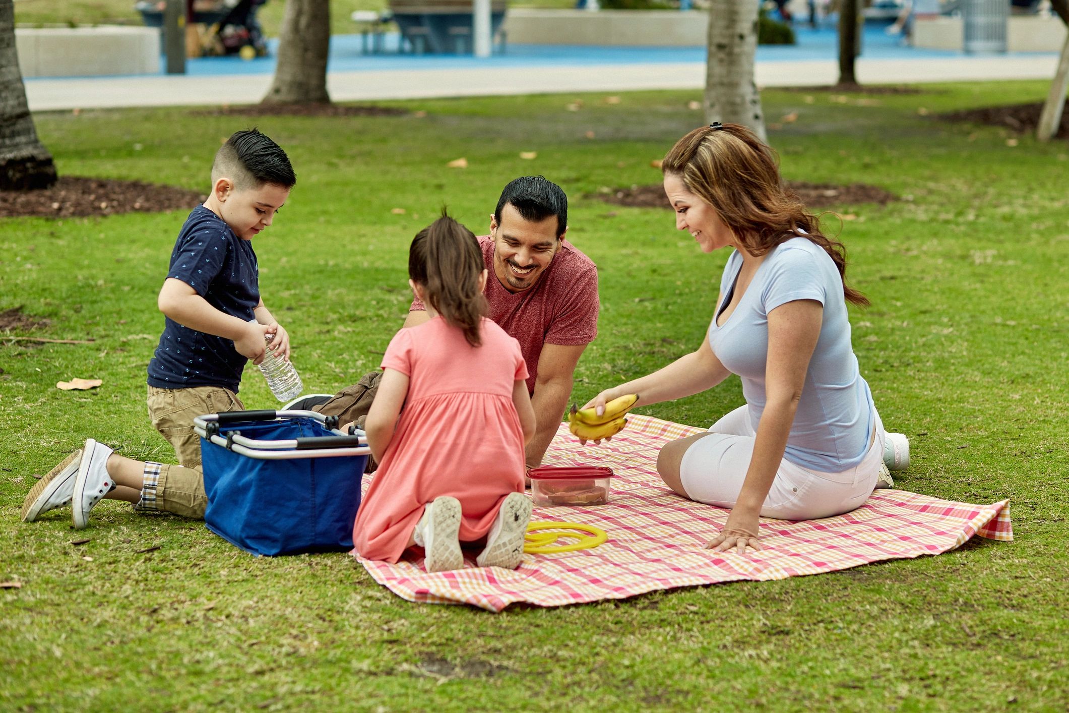 Family picnic on sunny park day